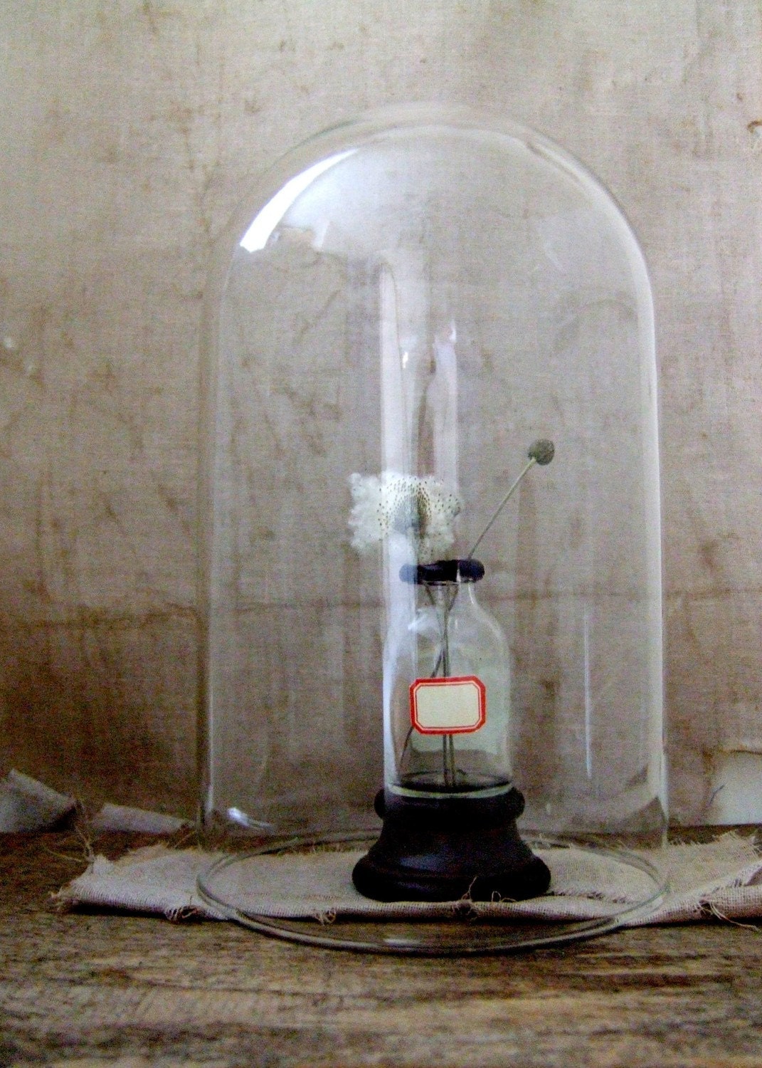 vintage glass dome