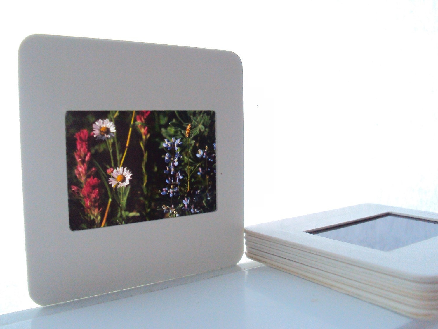 Vintage Kodachrome Slides, Flowers and Floral Scene, Set of 5, Film, Photography, OOAK Slide Supplies for Upcycling Assemblage and Crafts
