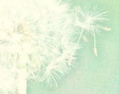Textured Sea Foam Green Dandelion White Flower Fine Art Metallic Photo Print 8x8