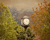 Any 3 4x6's Fine Art Metallic Finish Photos