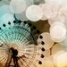 16x24 Fine Art Photo You Choose
