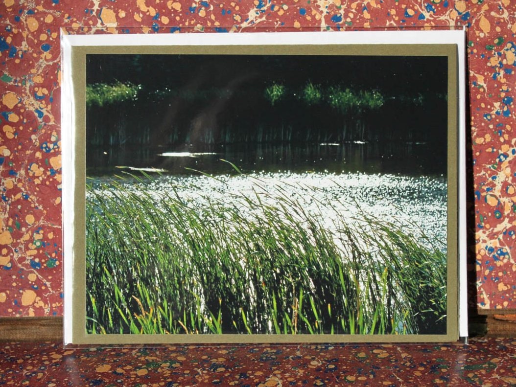 Minnesota lake photo blank greeting card