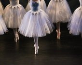 Ballet Dancers Poster
