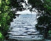 View To The River - Indian Harbour Beach, Florida River 8x12 Fine Art Photograph