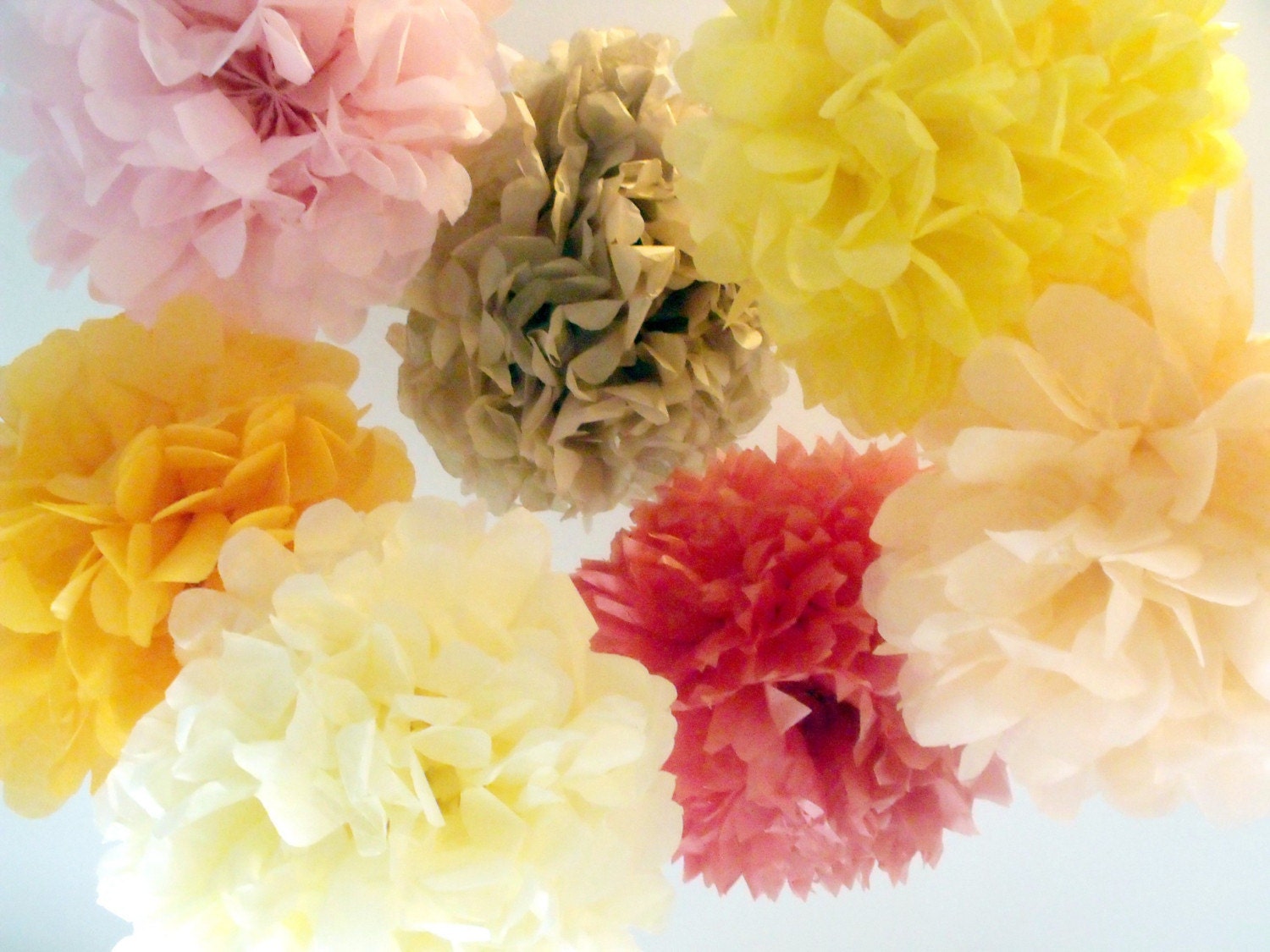 Citrus Spritzer ... 10 Poms