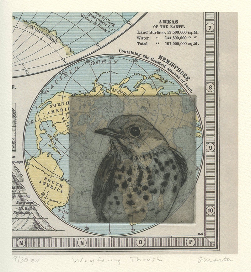 Hermit Thrush, Fine Art  Etching on Map