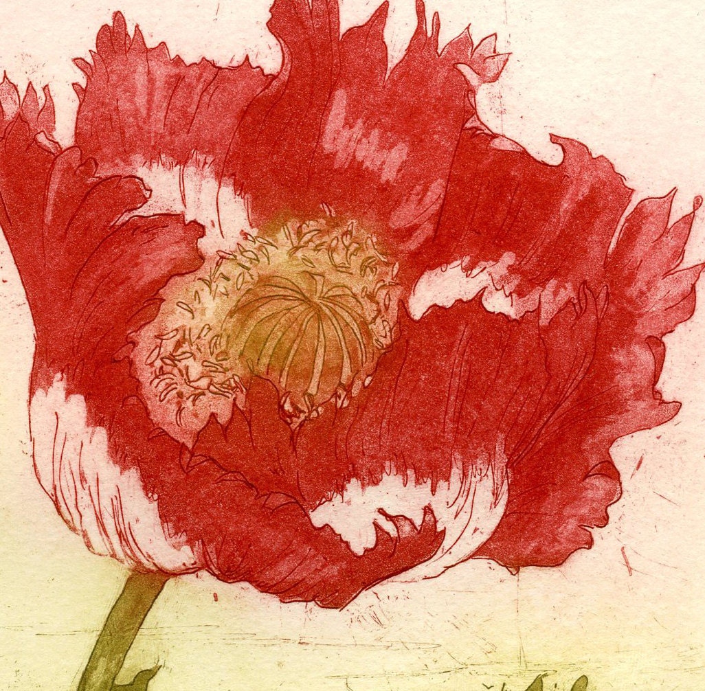 Red Poppy, Original Etching