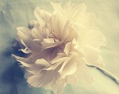 Feather Flower Pattern Tutorial: Feather Peony Plus DIY Wedding, Headband and Accessories Tutorials
