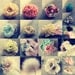 Feather and Fabric Flowers Pattern Tutorials (All 26 Tutorials) DIY Wedding Accessories