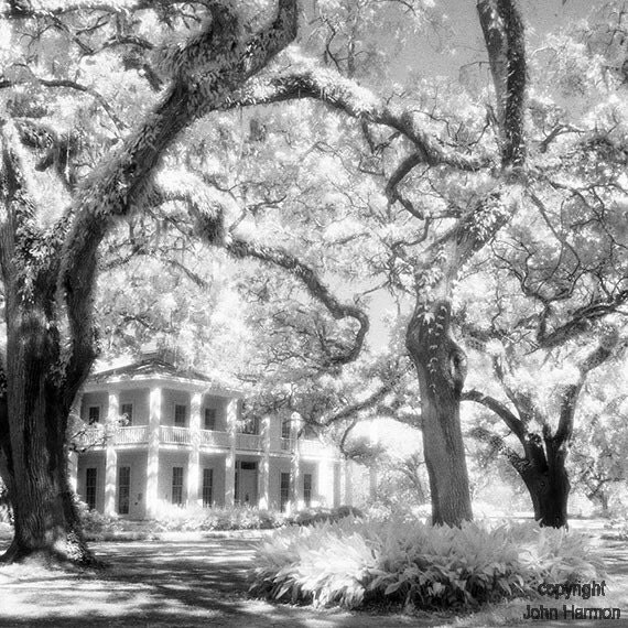 Southern Plantation Owners