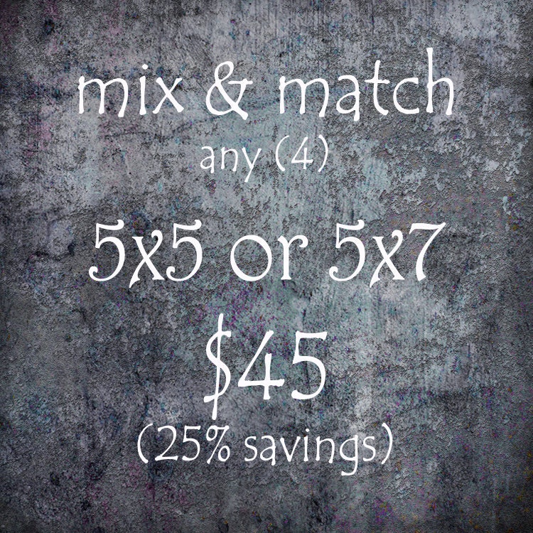 Any 5x5 or 5x7 Giclee Prints - Canadian Art - Home Decor Gallery Wall