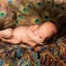 Peacock Fringe HAMMOCK and Baby Blanket Prop for Photo Portraits with Teal, Blue, Green, Turquoise, Gold, Brown, Purple
