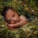 Hanging Moss Forest Green Props HAMMOCK. Baby Newborn Sling Baby Fringe Blanket Infant Photo Prop Newborn Sling 'Verdant'