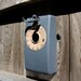 Upcycled Rotary Phone Birdhouse
