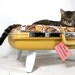RESERVEDUpcycled Suitcase Pet Bed in Mustard Yellow