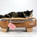 Upcycled Suitcase Pet Bed Handmade Wood Legs