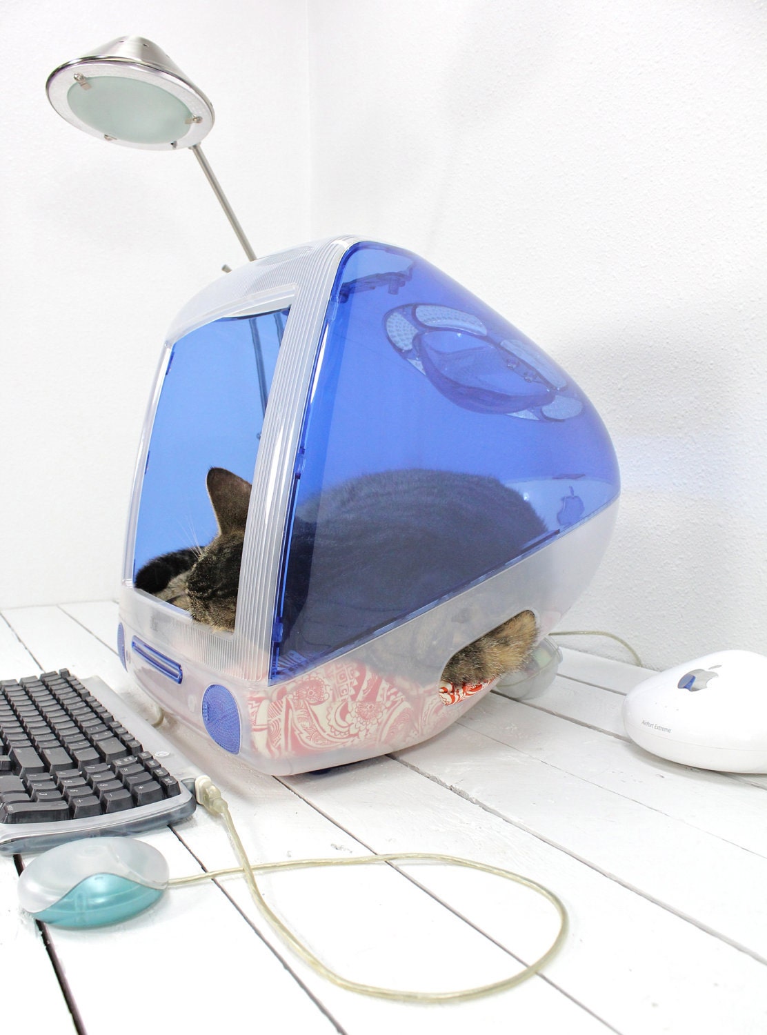 Upcycled Apple Computer Pet Bed - iMac - "Think different"