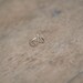 the mountain upper finger ring // bronze