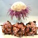 Picadilly Rose Bouquet