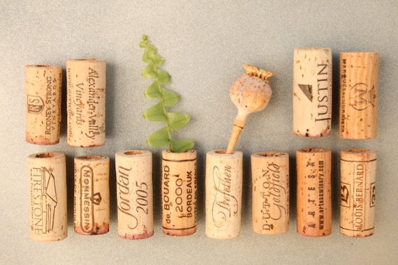 Wine Cork Magnets DIY Set of 12