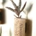Succulent Cork Magnet, Organic Kalanchoe