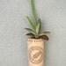 Succulent Cork Magnet, Monterey