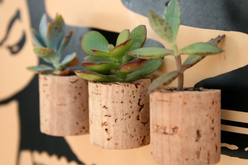Mini Cork Magnets, Mixed Set of 3