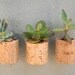 Mini Cork Magnets, Mixed Set of 3