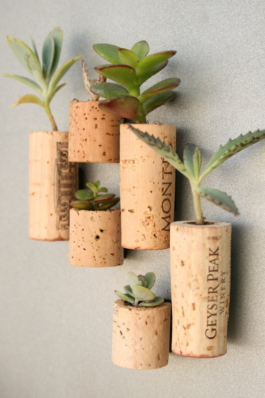 CUSTOM Order for ranbo Succulent Cork Magnets, Mixed Sets