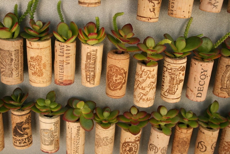 CUSTOM Order for Courtney Succulent Cork Magnets