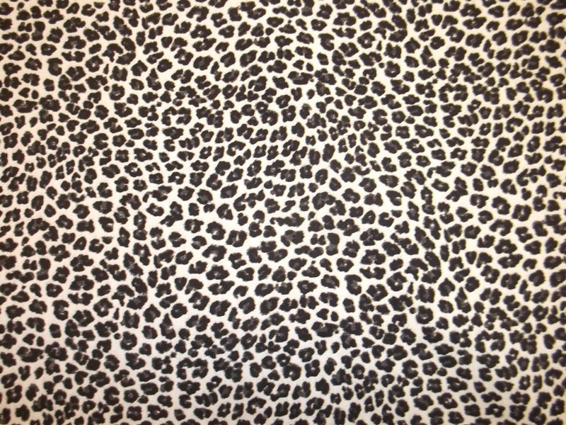 Gray Leopard Background