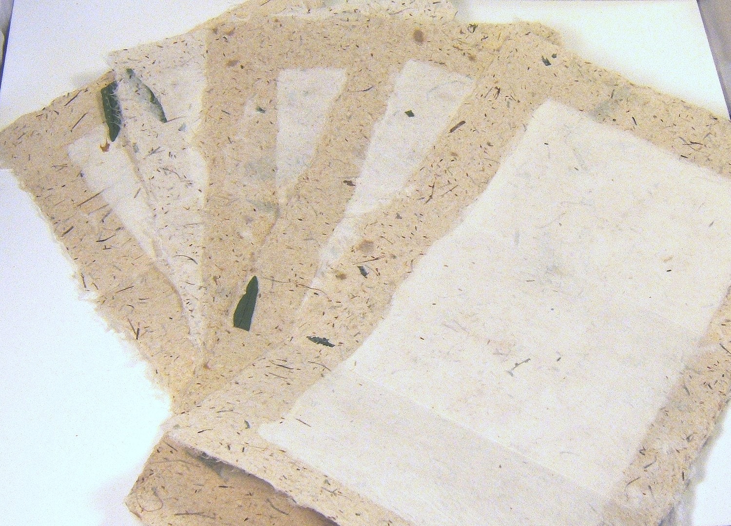 Exclusive Seeds and Fern Handmade Paper Stationery 5 sheets