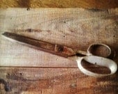 vintage scissors : metal industrial by 24pont