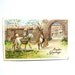 Vintage Postcard, Early 1900s Postcard, Vintage Embossed Postcard, Easter Bunny, Vintage Easter, Easter Postcard