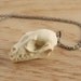 bat skull necklace