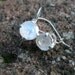 Rainbow Moonstone Earrings, Sterling Silver Earrings, Sparkle Moonstone jewelry, 8mm round faceted moonstone Earrings