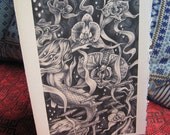 Swimming with the Orchids (greeting card)