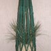 PATTERN for Macrame Plant Hanger  -  Carousel Buttons