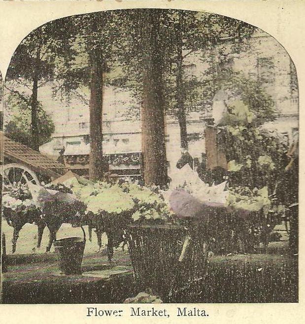 Flower Market MALTA  Stereoview card - lovely summer view in colour