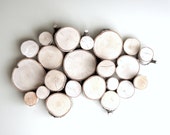 white birch forest topography - organic wood wall art - made to order - urbanplusforest
