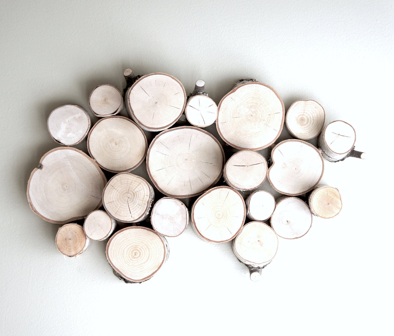 white birch forest topography - organic wood wall art - made to order