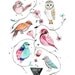 Birds of the Wild  -  8x10 archival print by Meeralee
