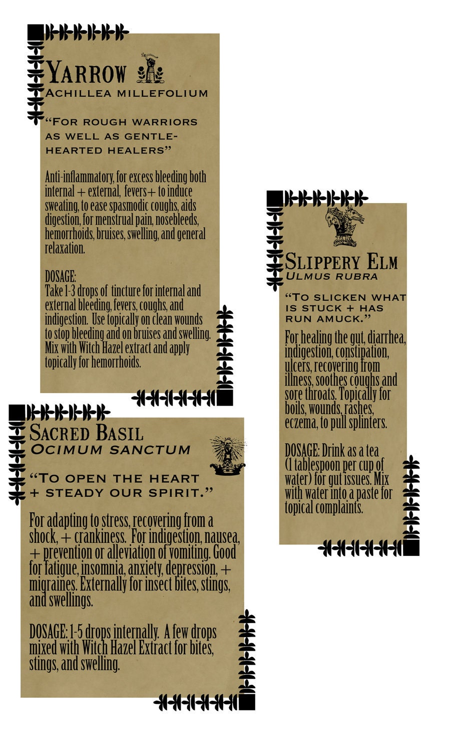 PANACEA Herbal First Aid Remedy Kit