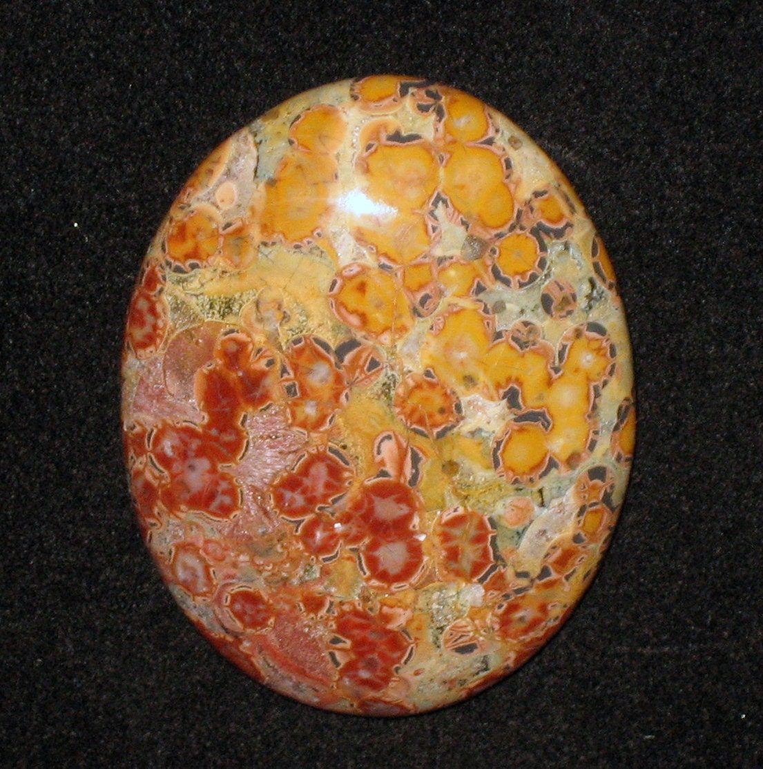 Leopardskin Jasper Hand Cut Cabochon