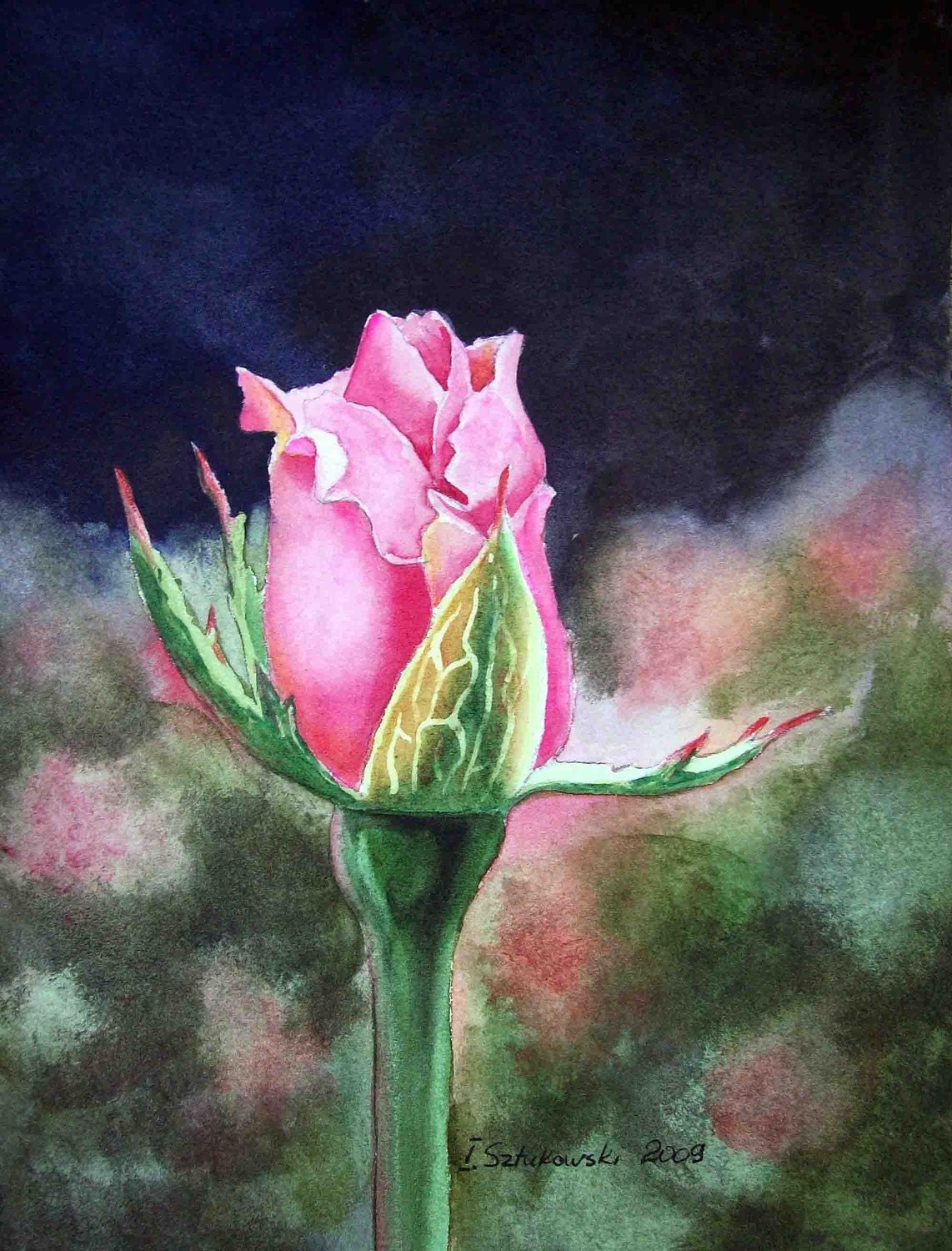 Pink Rose Painting print 7x5 Watercolor by by IrinaSztukowski