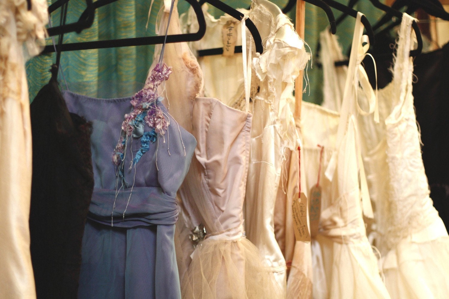Postcard Photo- Pretty Dresses