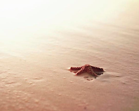 Starfish Wall Art, Starfish Photography, Beach Photography, Landscape, Sand, Sea, Sea Shore, Beach Decor, Peach, Beige