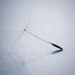 Dandelion Photograph-Grey Home Decor, Minimalist Photograph, Monochromatic,  Simple Home Decor,   5x7 Dandelion Photography Home Decor