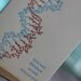 DNA, unzip your genes-- nerdy letterpress greeting card (naughty science), perfect for Valentine's Day