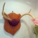 Vintage Trophy Antlers on Wooden Plaque